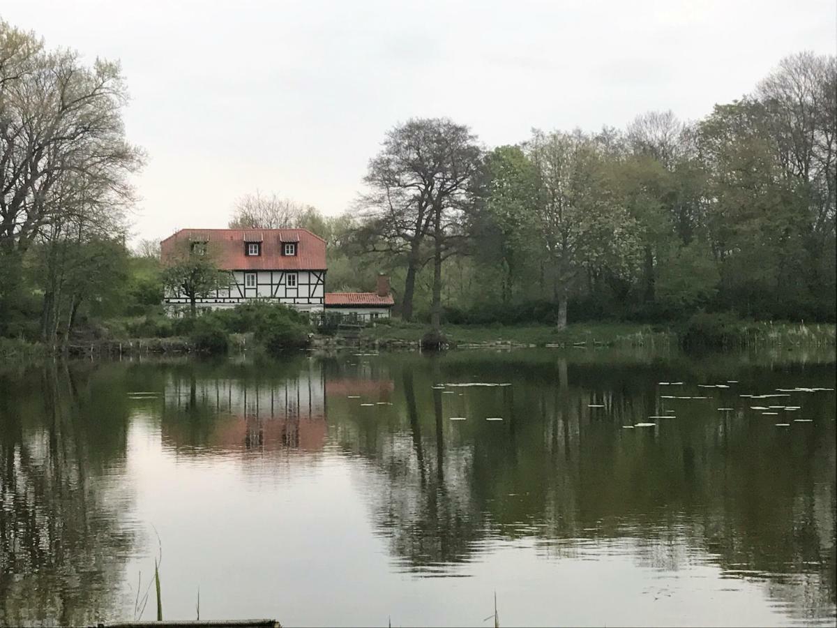 Ferienwohnung Hoppelnase Mit Eigener Sauna Langenstein Exteriér fotografie