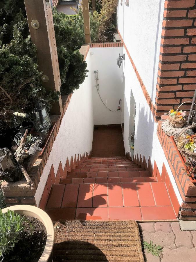 Ferienwohnung Hoppelnase Mit Eigener Sauna Langenstein Exteriér fotografie