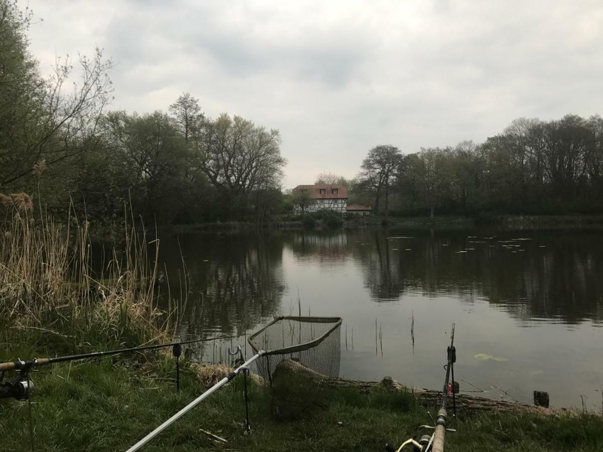 Ferienwohnung Hoppelnase Mit Eigener Sauna Langenstein Exteriér fotografie